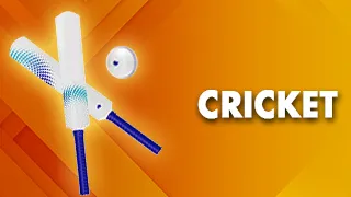 Cricket